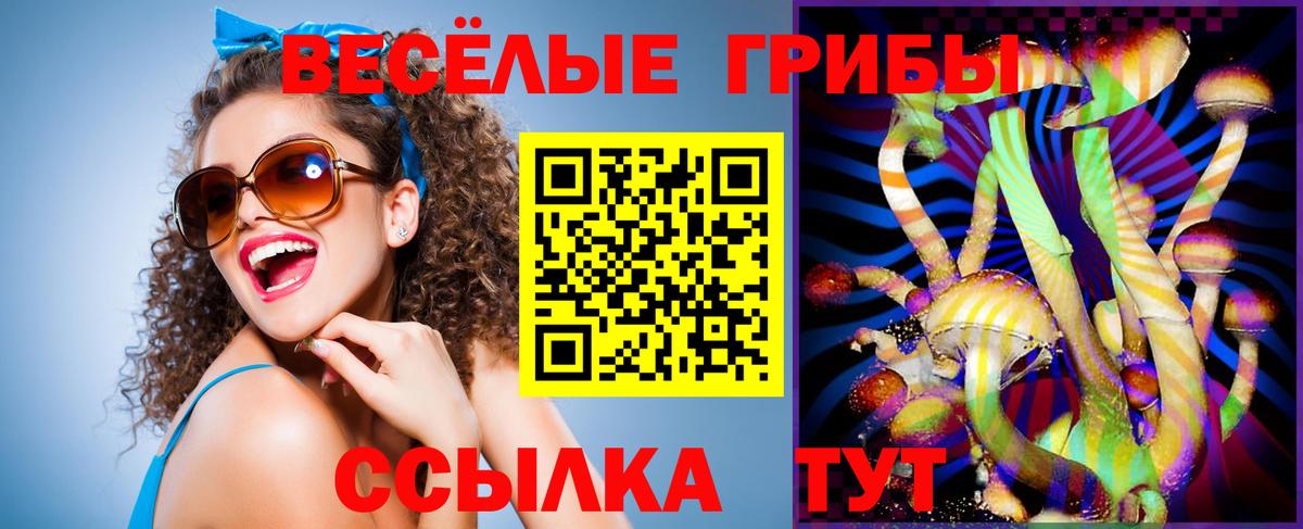 Балаково  Галлюциногенные грибы Psilocybine cubensis  Псилоцибиновые грибы ЛСД  Вход с VPN 